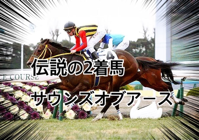 競馬 サウンズオブアース 好きな馬シリーズ 伝説の2着馬サウンズオブアース号 アル中ホースの勉強部屋